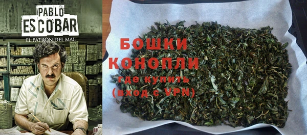 ГАЛЛЮЦИНОГЕННЫЕ ГРИБЫ Волосово