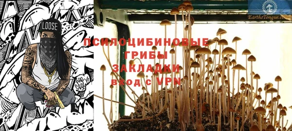 МДПВ Верхний Тагил