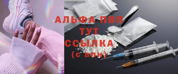 стафф Вяземский