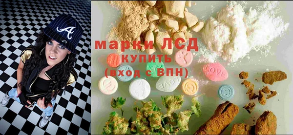 ГАЛЛЮЦИНОГЕННЫЕ ГРИБЫ Волосово