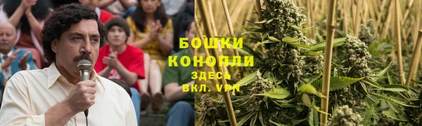 дмт Вяземский