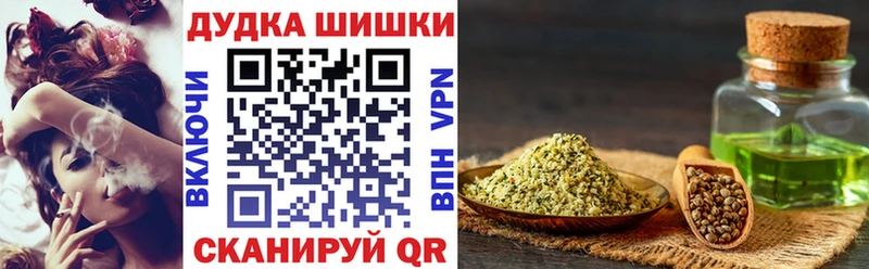где купить наркоту  Печора  Конопля ГИДРОПОН 